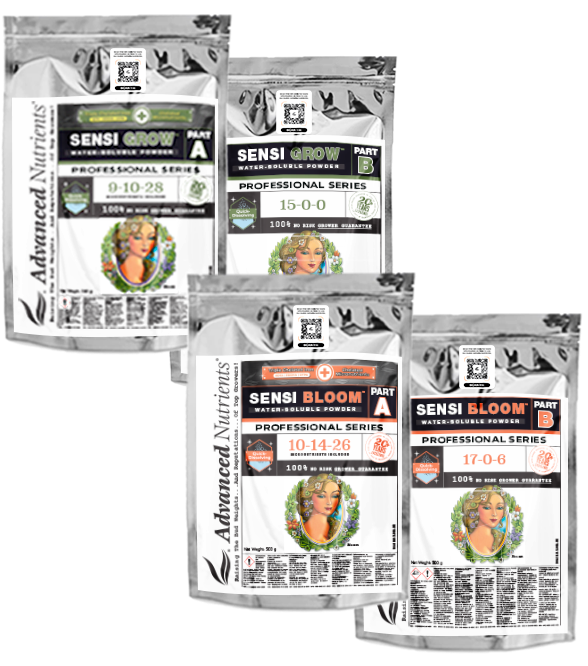 WSP Sensi Bloom B Pro 500g