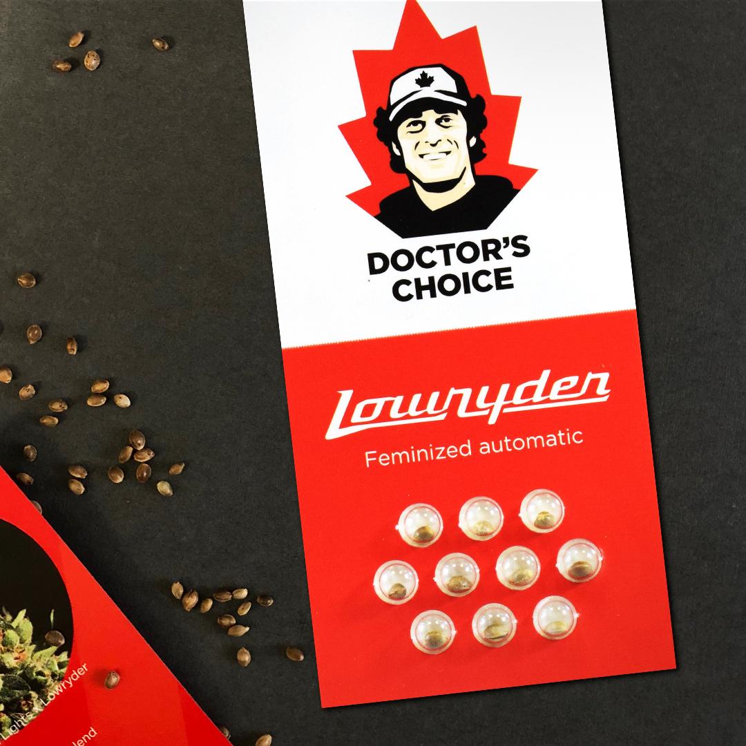 Dr Choice Seeds - Lowryder Feminized (IBL) Auto