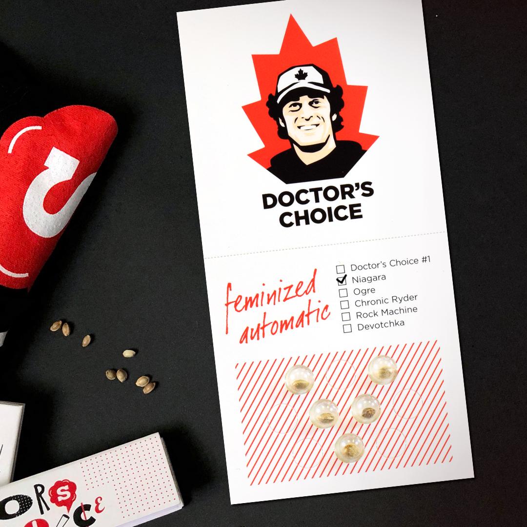 Dr Choice Seeds - Niagara Auto