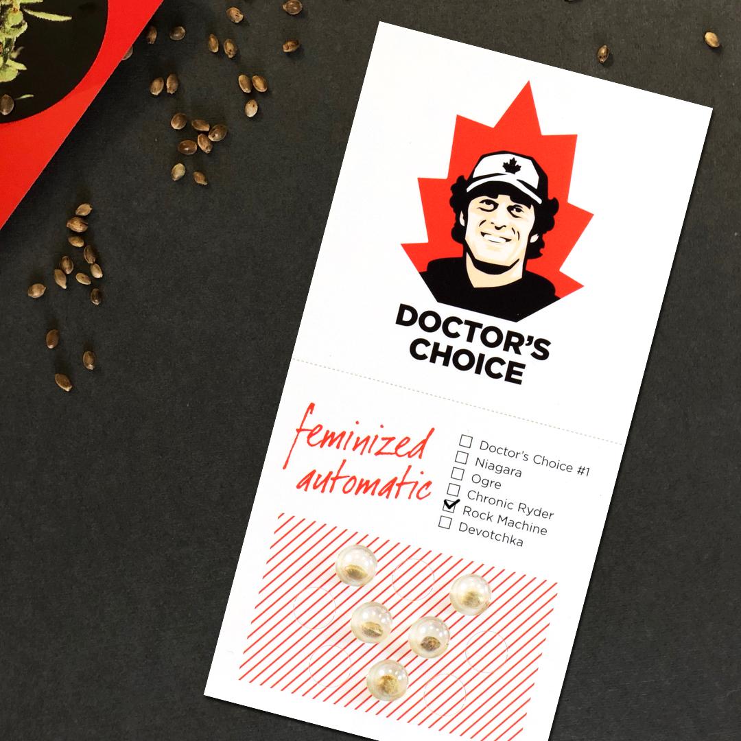 Dr Choice Seeds - Rock Machine Auto