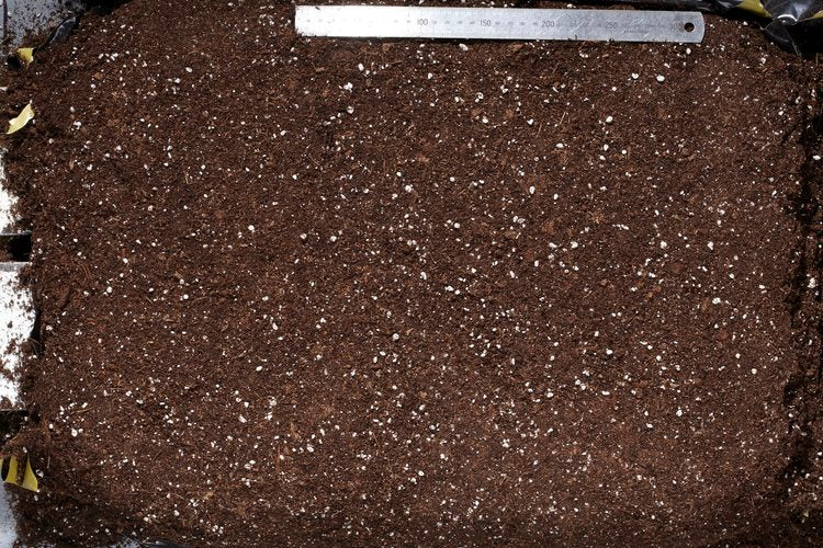 Gold Label Special Light Mix